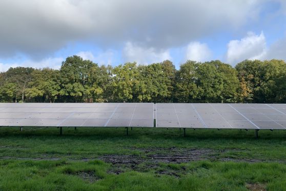 Zonnepanelen in zonnepark Enschede